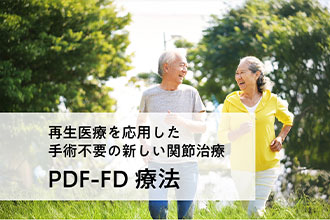 PDF-FD療法