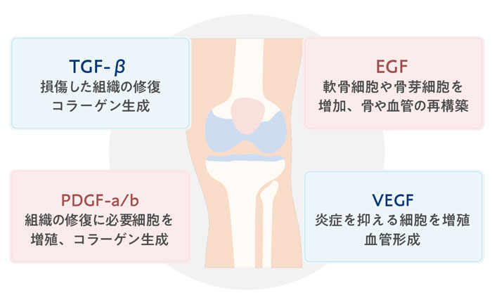 PDF-FD療法で期待できる効果